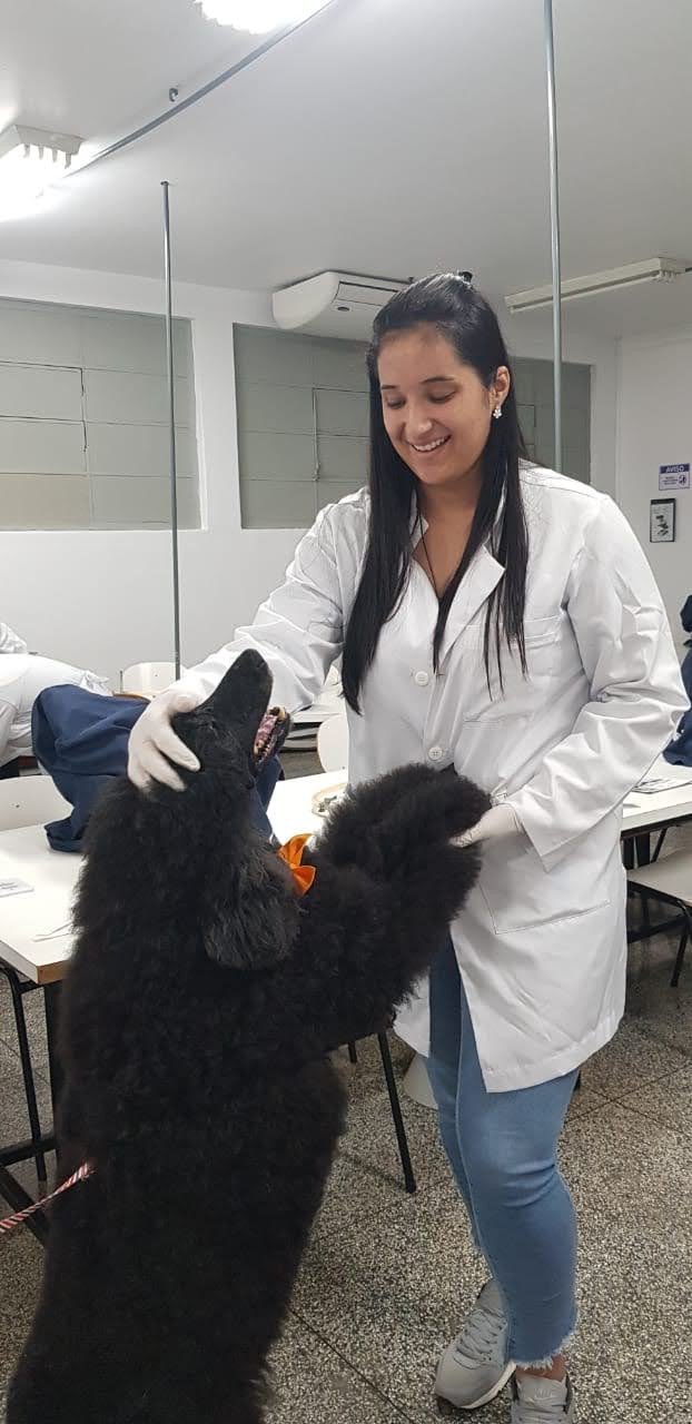 cachorro, clinica veterinaria